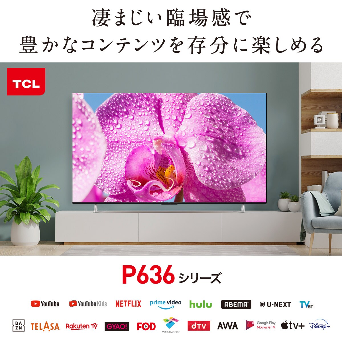 65型 4Kチューナー内蔵テレビ(P636)通販 | ニトリネット【公式】 家具 